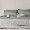 Sensoire Bettbezug aus salbeigrünem Bambus-Lyocell auf einem Bett mit ruhender Katze, aufgeschlagener Zeitschrift und Becher