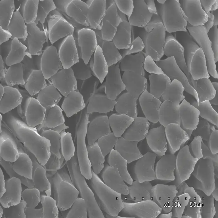 Elektronenmicroscopische opname van moerbeizijdevezels met driehoekige dwarsdoorsneden bij een vergroting van 1000x.