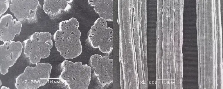 Elektronenmicroscopische opnamen van bamboe-viscosevezel: gelobde dwarsdoorsnede, gegroefd in lengteaanzicht
